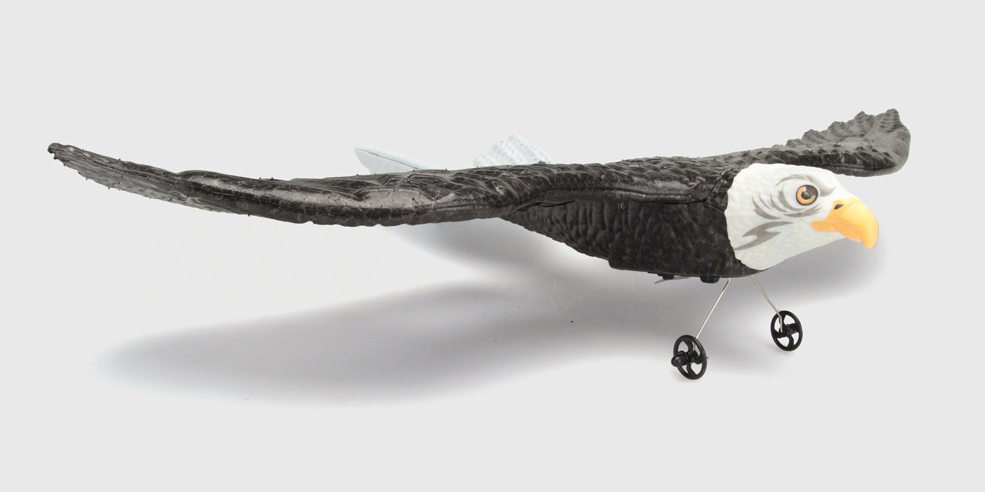 Brun og hvid Flying Animal ørn med udbredte vinger klar til at svæve gennem luften.