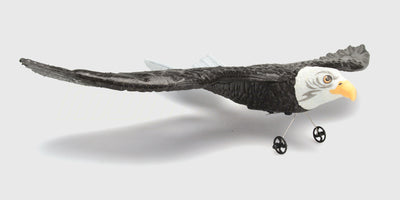Brun og hvid Flying Animal ørn med udbredte vinger klar til at svæve gennem luften.